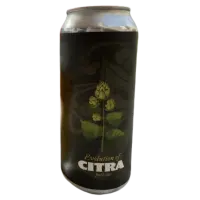 Tree House Brewing Company Evolution of Citra - Part One
