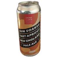 Snake Lake Brewing Company Sun Soaked Tart Apricot New England Pale Ale