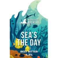 Bude Coastal Brewery Sea's The Day
