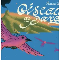 La Source Beer Co. Oiseau De Paradis