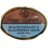 Little Earth Project Blackcurrant & Blackberry Sour