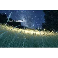 Popihn NZ ICAUNA