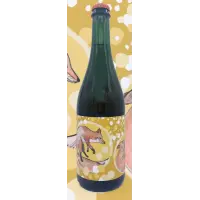 Artistraw Cider Foxwhelp 2023 (4.7%)