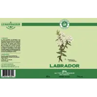 Microbrasserie Le Naufrageur Thé du Labrador