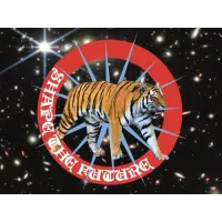 Elmeleven Shape the Future (PULP)
