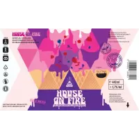 Mad Scientist House On Fire