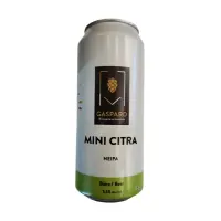 Gaspard Brasserie Artisanale Mini Citra