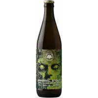 Browar Hopkultura Cinnamon Girl