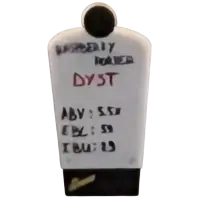 Dyst Brews Raspberry Porter