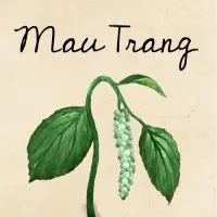 HenkeBier Mau Trang
