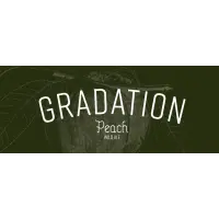 Austin Street Brewery Gradation - Peach