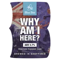 Blue Bee Brewery Why Am I Here?