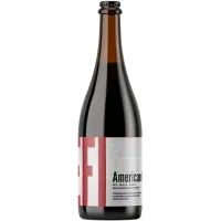 EFI Pivovar American IPA