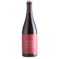 Side Project Brewing Coexpressionalism Framboise