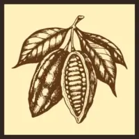 Nova Runda Chronotype With Cocoa Nibs