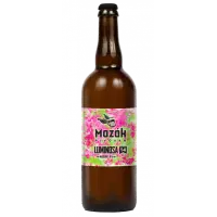 Pivovar Mazák 14 Luminosa Modern IPA