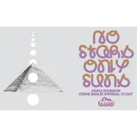 Elmeleven No Stars Only Suns