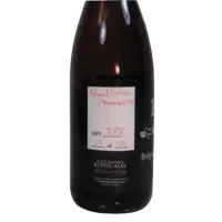 Sante Adairius Rustic Ales Adjunct Professor - Boysenberries