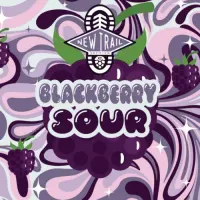 New Trail Brewing Co. Blackberry Sour