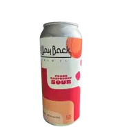 Wayback Brew Co. Peach Raspberry Sour