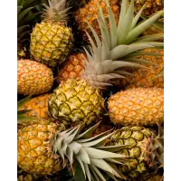 Human Robot Passionfruit and Pineapple Splash
