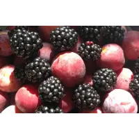 Human Robot Double Plum Blackberry Splash