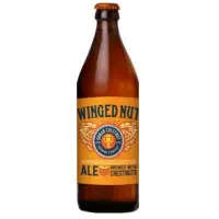 Urban Chestnut Brewing Company Winged Nut
