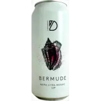 DWYN Brewing Bermude