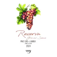 Het Boerenerf Pinot Gris Reserva (2024)