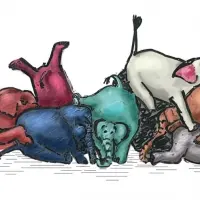 The Shop Beer Company Elephant Smash