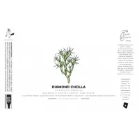 Wren House Brewing Company Diamond Cholla