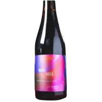 Sante Adairius Rustic Ales Inside Voice