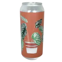 Structures Brewing Company Endless Bummer - Citra