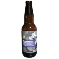 Alley Kat Brewing Company Brewberry Blueberry Ale