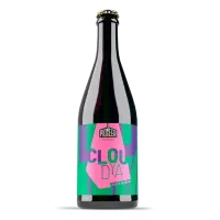 Pioneer Beer Cloudya 11