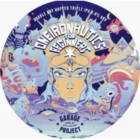 Garage Project Oneironautics For Beginners