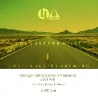 Lost Industry Brewing I Can See For Miles
