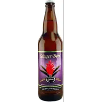 Caldera Brewing Company Ginger Beer