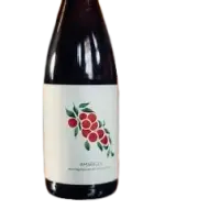 New Park Brewing Amarelle