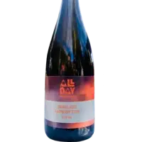 All Day Brewing Co. Barrel Aged Raspberry Stout