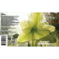 Ārpus Brewing Co. Pineapple Berliner Weisse