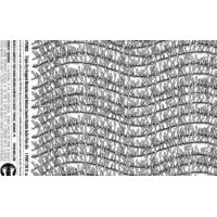 Tired Hands Brewing Company TDH Punge - Riwaka