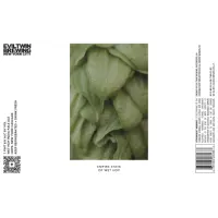 Evil Twin Brewing NYC Empire State Of Wet Hop