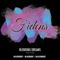 Fidens Brewing Company Blending Dreams (Raspberry, Blueberry and Blackberry)