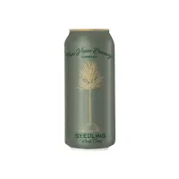 Tree House Brewing Company Seedling - Whole Cone