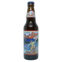 Big Sky Brewing Company Montana Trout Slayer Ale