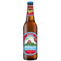 Skovlyst Production Ellebryg Jul Alkoholfri Ale