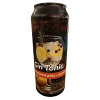 Castellum Brewery Gin Tonic 9°