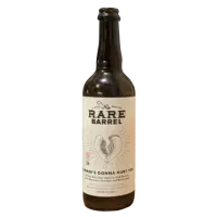 The Rare Barrel Summer's Gonna Hurt You