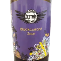 Pivovar Čestmír Blackcurrant Sour